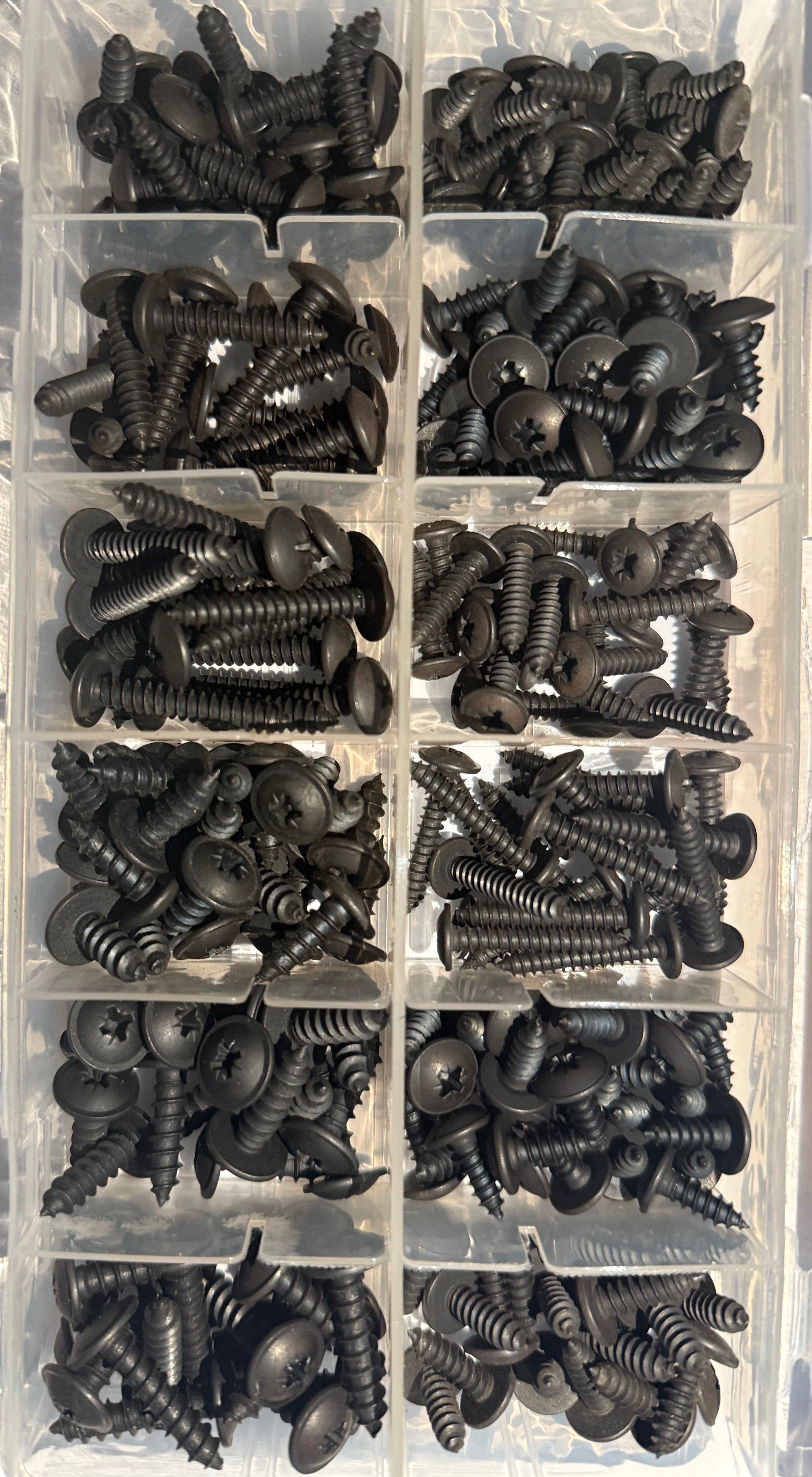 Mushroom Pozi Self Tapping Screws - Black 250 PCS | Large Box